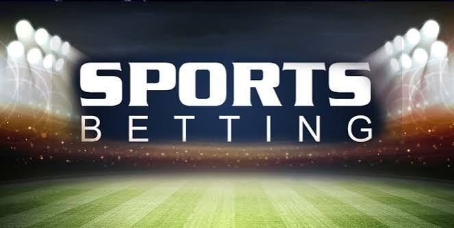 Descubra o Universo das Apostas com Elephant Bet